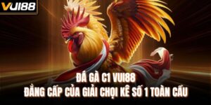 Đá Gà C1 VUI88 – Đẳng Cấp Của Giải Chọi Kê Số 1 Toàn Cầu