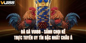 Đá Gà VUI88 – Sảnh Chọi Kê Trực Tuyến Uy Tín Bậc Nhất Châu Á